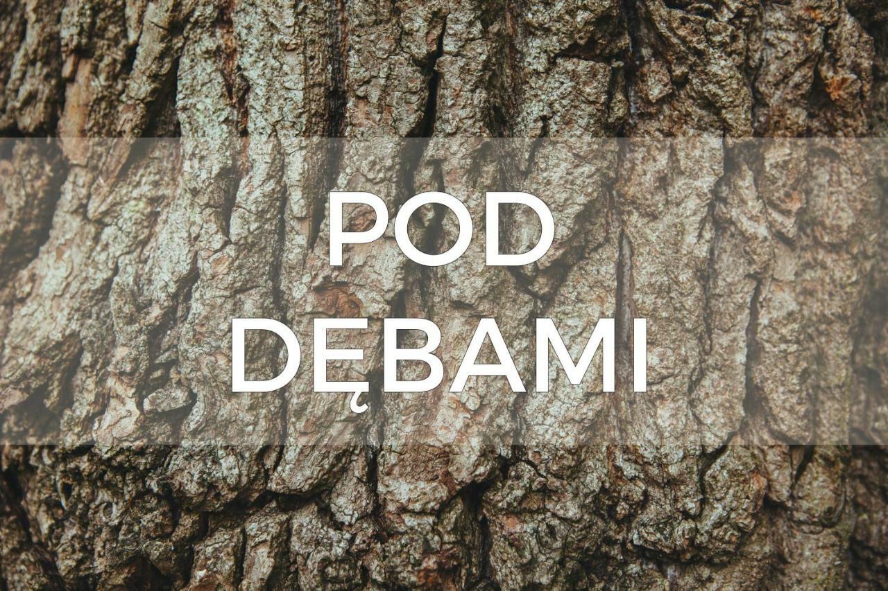 Pod Debami - Pokoje Na Mazurach Villa Wydminy Exterior foto