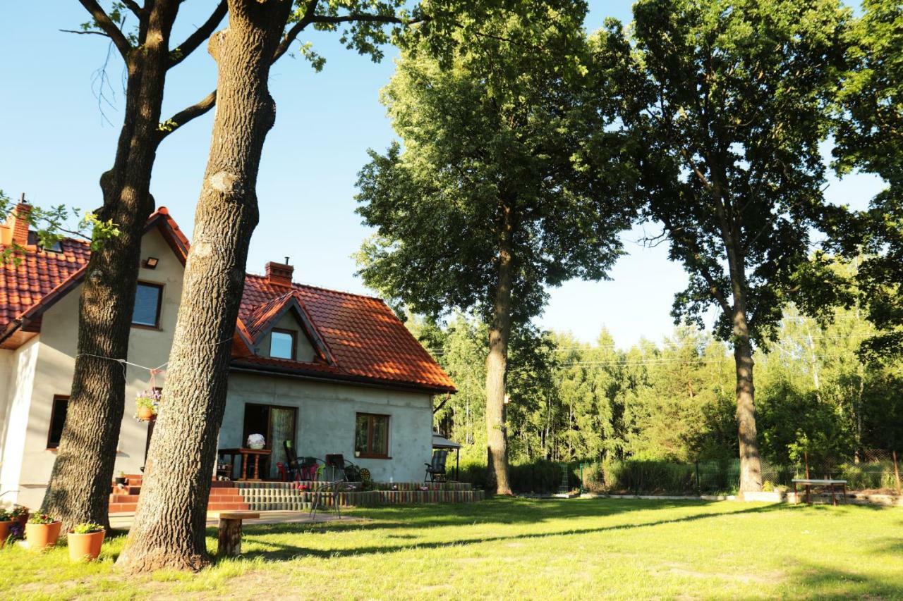 Pod Debami - Pokoje Na Mazurach Villa Wydminy Exterior foto